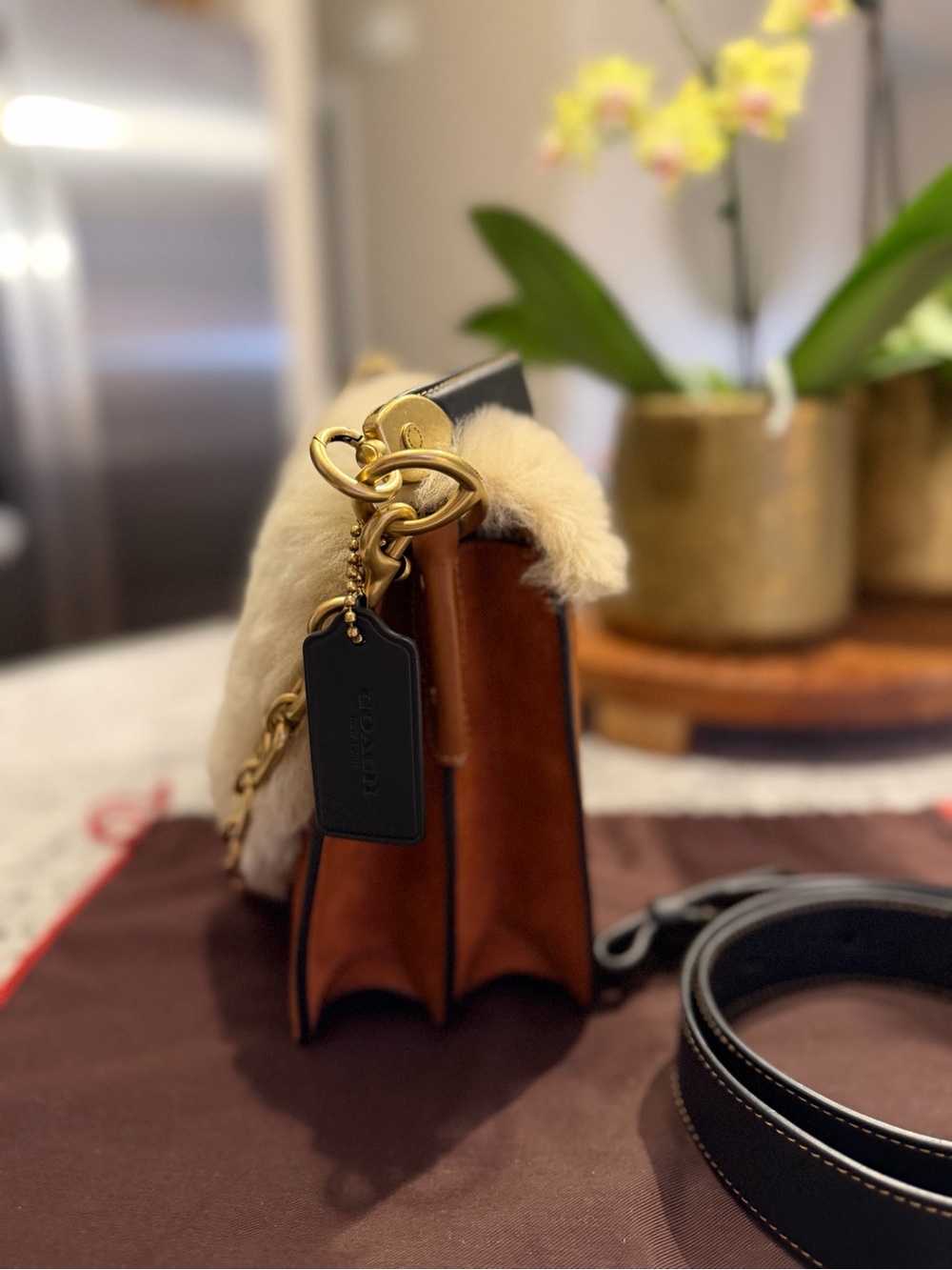 Coach Beat Bag Shoulder Bag (Style C5267) In 1941 Glove Tanned/Suede/Shearling - Picture 2 of 10